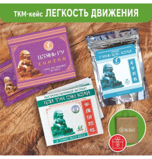 Кейс «Легкость движения»