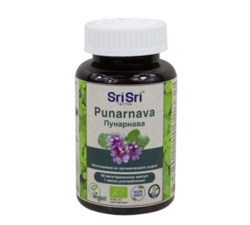 Пунарнава Шри Шри Таттва (Punarnava Capsules Sri Sri Tattva), 60 вегетарианских капсул по 500 мг.