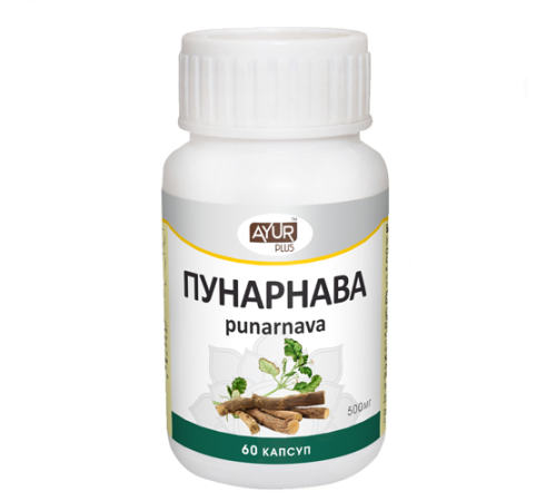 Пунарнава Аюр Плюс (Punarnava Ayur Plus), 60 кап.