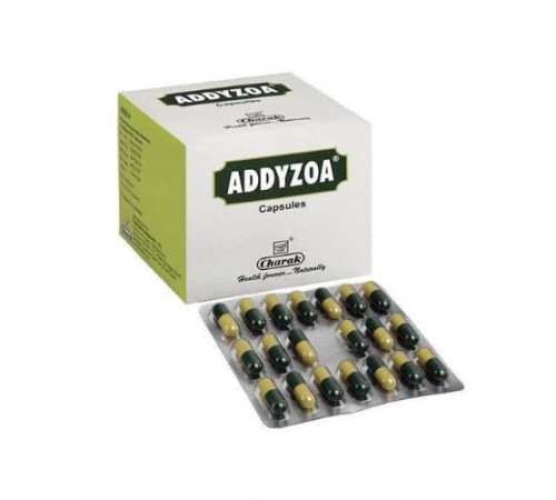 Аддизоа Чарак (Addyzoa Charak), 20 кап.