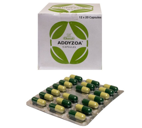 Аддизоа Чарак (Addyzoa Charak), 20 кап.