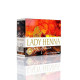 Краска для волос на основе хны Леди Хенна каштан (Lady Henna), 6 х 10 г.